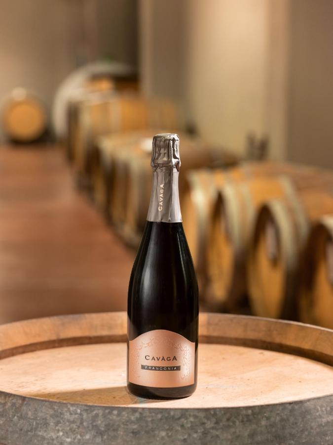 Agriturismo Podere Cavaga Lago d'Iseo Agribio Winery Foresto Sparso Esterno foto